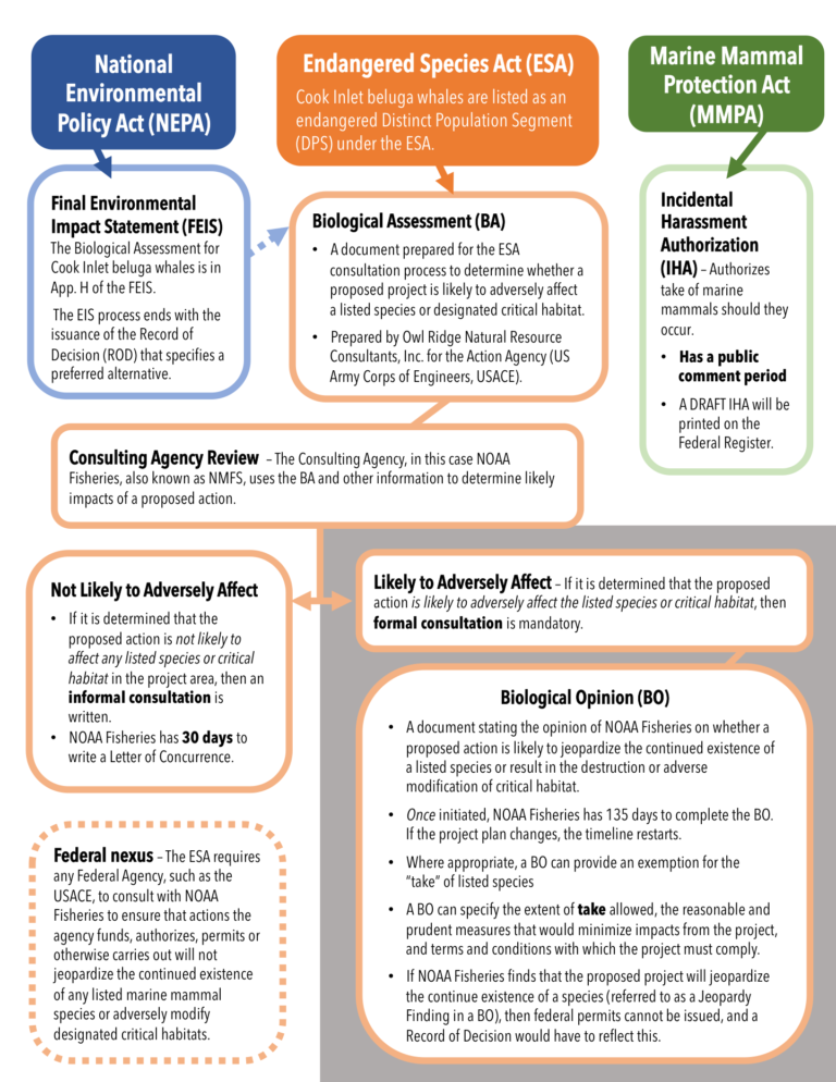 Permitting-flow-chart-final - Pebble Watch